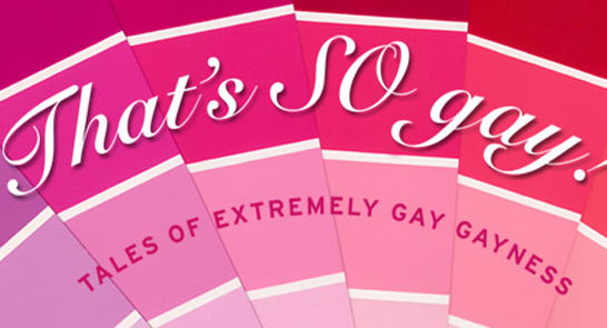 WYSIWYG: That’s SO Gay WYSIWYG: That’s SO Gay