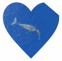 We The Youth – Keith Haring Lecture Series