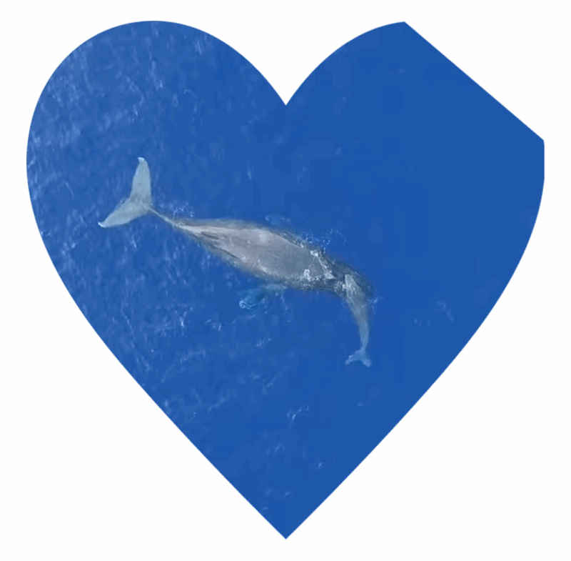 We The Youth – Keith Haring Lecture Series