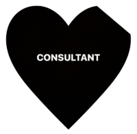 Organizational Strategic Consultant