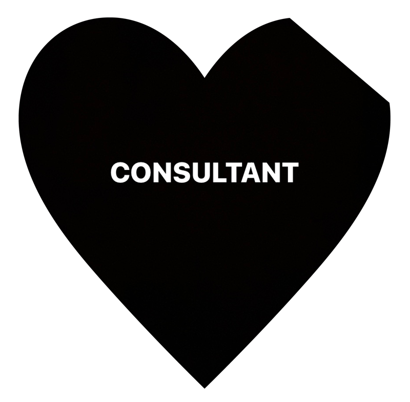 Organizational Strategic Consultant